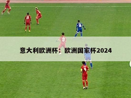 意大利欧洲杯：欧洲国家杯2024