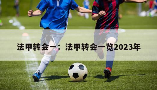 法甲转会一：法甲转会一览2023年