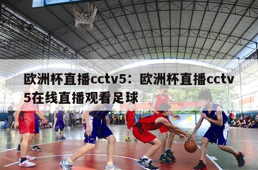 欧洲杯直播cctv5：欧洲杯直播cctv5在线直播观看足球