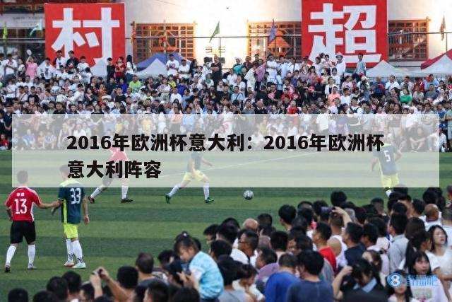 2016年欧洲杯意大利：2016年欧洲杯意大利阵容