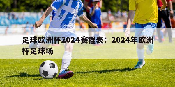 足球欧洲杯2024赛程表：2024年欧洲杯足球场