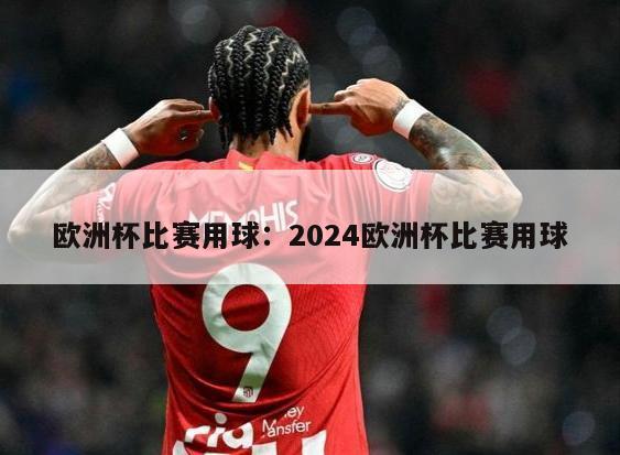 欧洲杯比赛用球：2024欧洲杯比赛用球