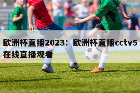 欧洲杯直播2023：欧洲杯直播cctv5在线直播观看