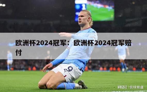 欧洲杯2024冠军：欧洲杯2024冠军赔付