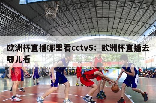 欧洲杯直播哪里看cctv5：欧洲杯直播去哪儿看