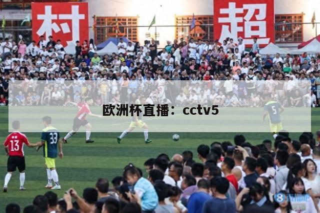 欧洲杯直播：cctv5