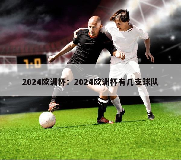 2024欧洲杯：2024欧洲杯有几支球队