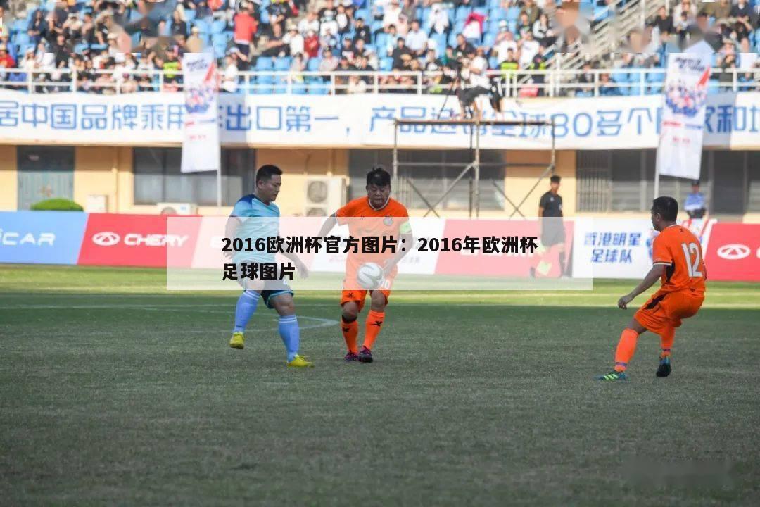 2016欧洲杯官方图片：2016年欧洲杯足球图片