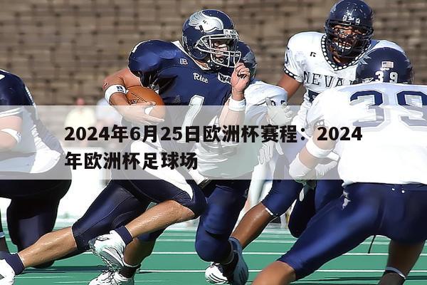 2024年6月25日欧洲杯赛程：2024年欧洲杯足球场