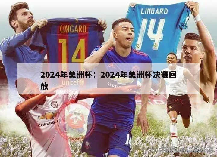 2024年美洲杯：2024年美洲杯决赛回放