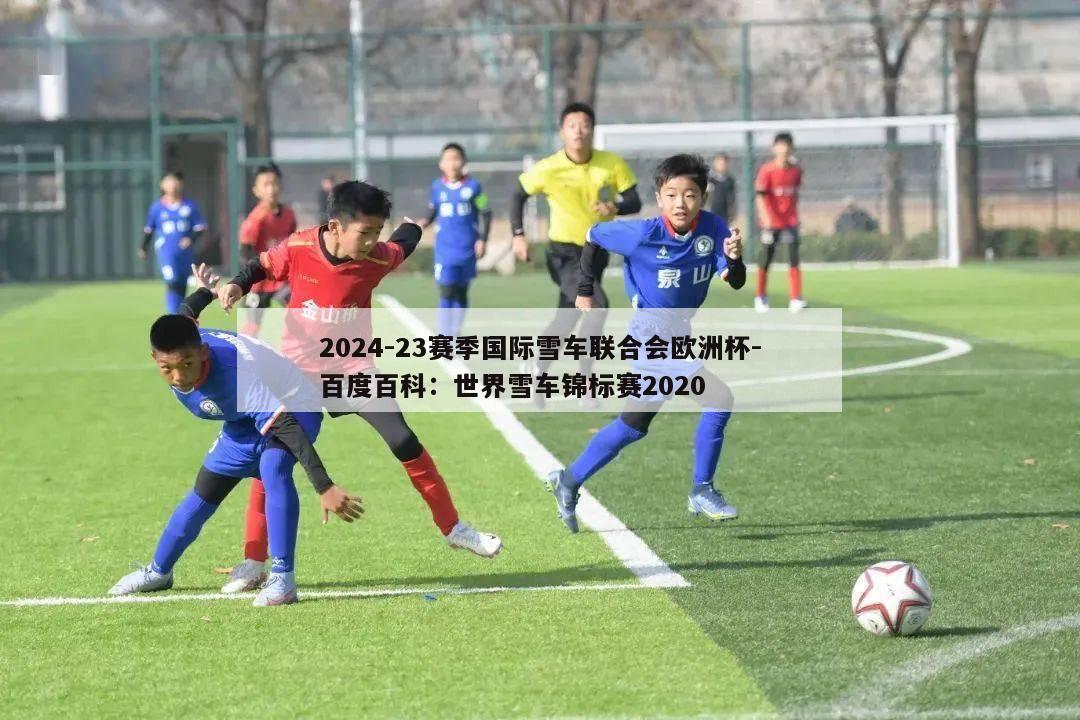 2024-23赛季国际雪车联合会欧洲杯-百度百科：世界雪车锦标赛2020