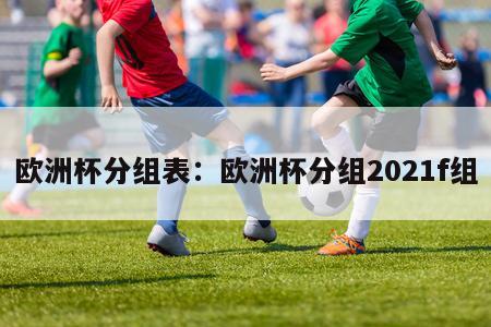 欧洲杯分组表：欧洲杯分组2021f组