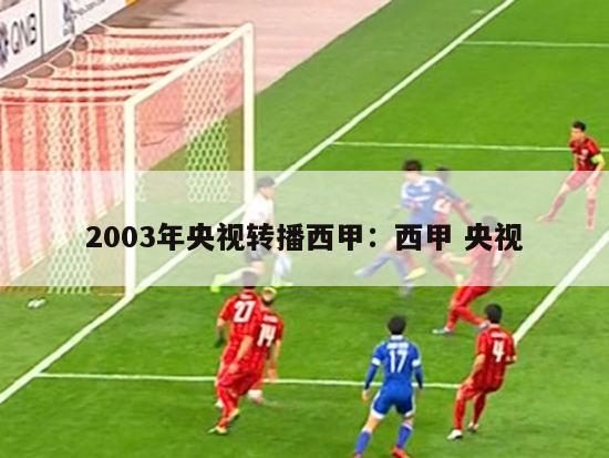 2003年央视转播西甲：西甲 央视