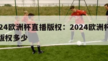 2024欧洲杯直播版权：2024欧洲杯直播版权多少