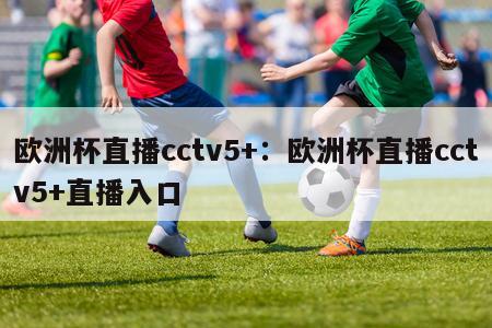 欧洲杯直播cctv5+：欧洲杯直播cctv5+直播入口