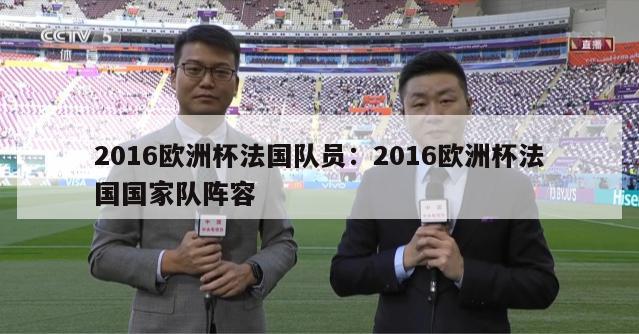 2016欧洲杯法国队员：2016欧洲杯法国国家队阵容