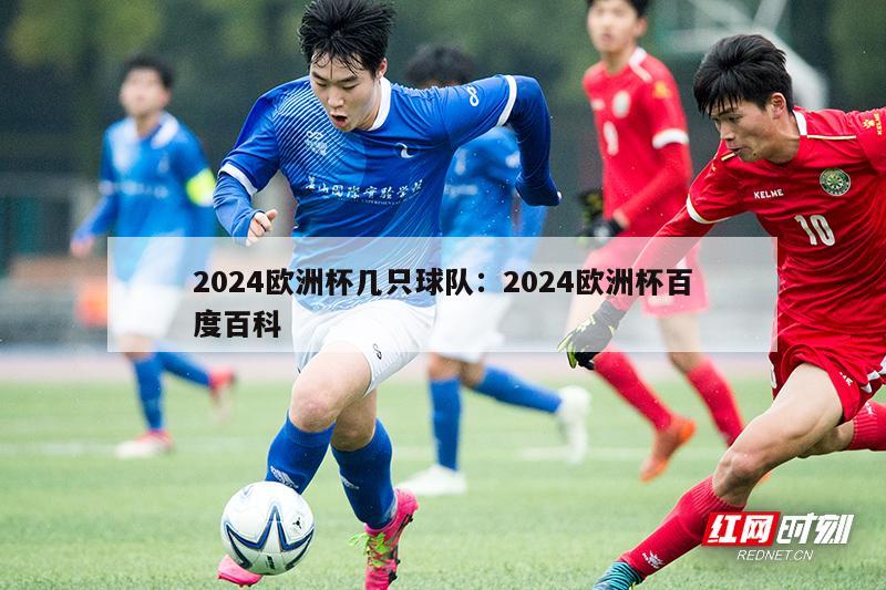 2024欧洲杯几只球队：2024欧洲杯百度百科