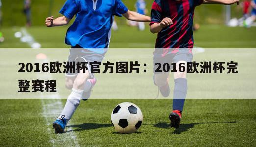 2016欧洲杯官方图片：2016欧洲杯完整赛程