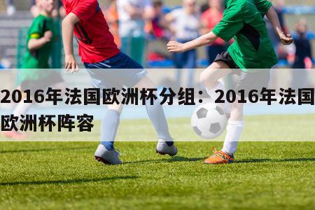 2016年法国欧洲杯分组：2016年法国欧洲杯阵容