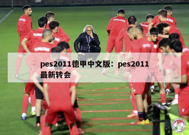 pes2011德甲中文版：pes2011最新转会