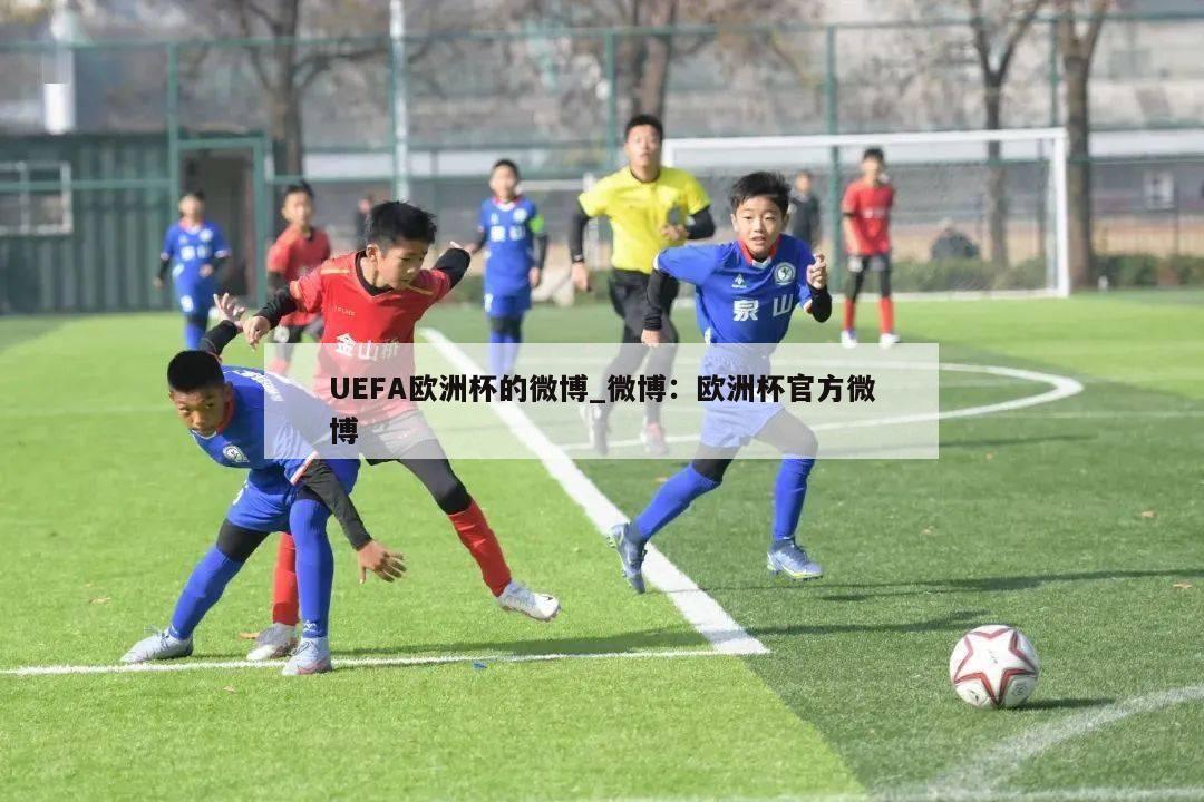 UEFA欧洲杯的微博_微博：欧洲杯官方微博