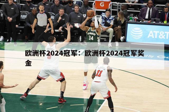 欧洲杯2024冠军：欧洲杯2024冠军奖金