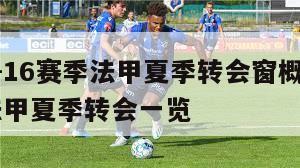 2015-16赛季法甲夏季转会窗概况：2021法甲夏季转会一览