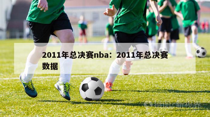 2011年总决赛nba：2011年总决赛数据