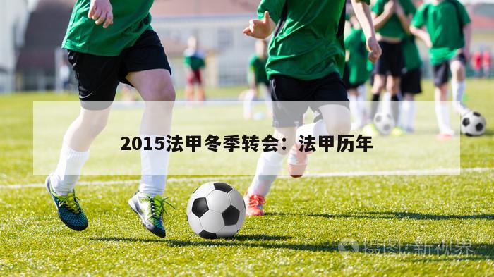 2015法甲冬季转会：法甲历年