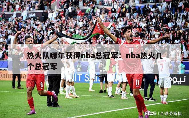 热火队哪年获得nba总冠军：nba热火几个总冠军