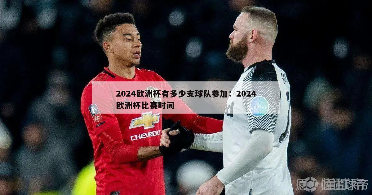 2024欧洲杯有多少支球队参加：2024欧洲杯比赛时间